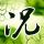 习近平回信勉励青年代表
